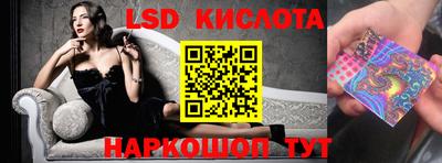PSILOCYBIN Камышлов