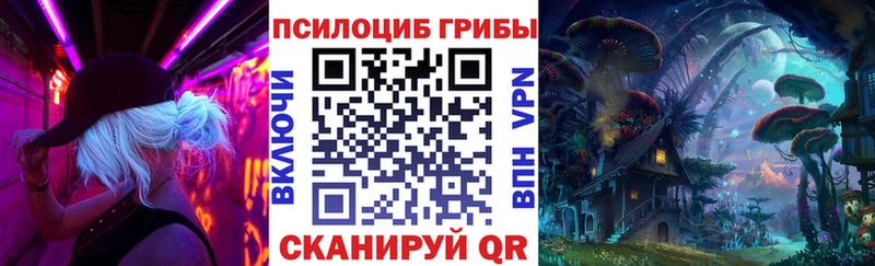 гидра рабочий сайт  Новошахтинск  Псилоцибиновые грибы Magic Shrooms 